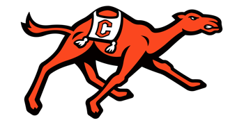 Fighting Camels